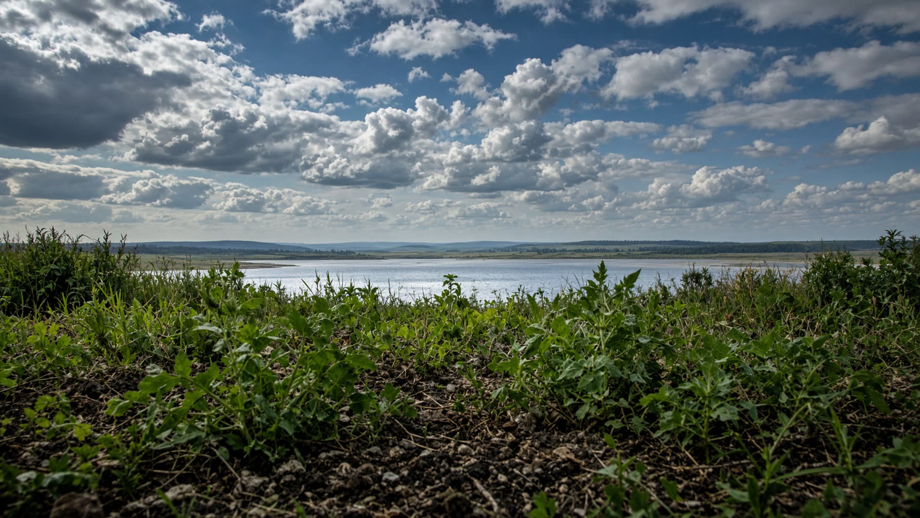 A living Earth landscape from standing height: deep blue sky, green plants, soil, and distant water under real weather.